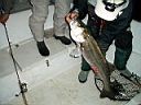 2004-11-24 022.JPG